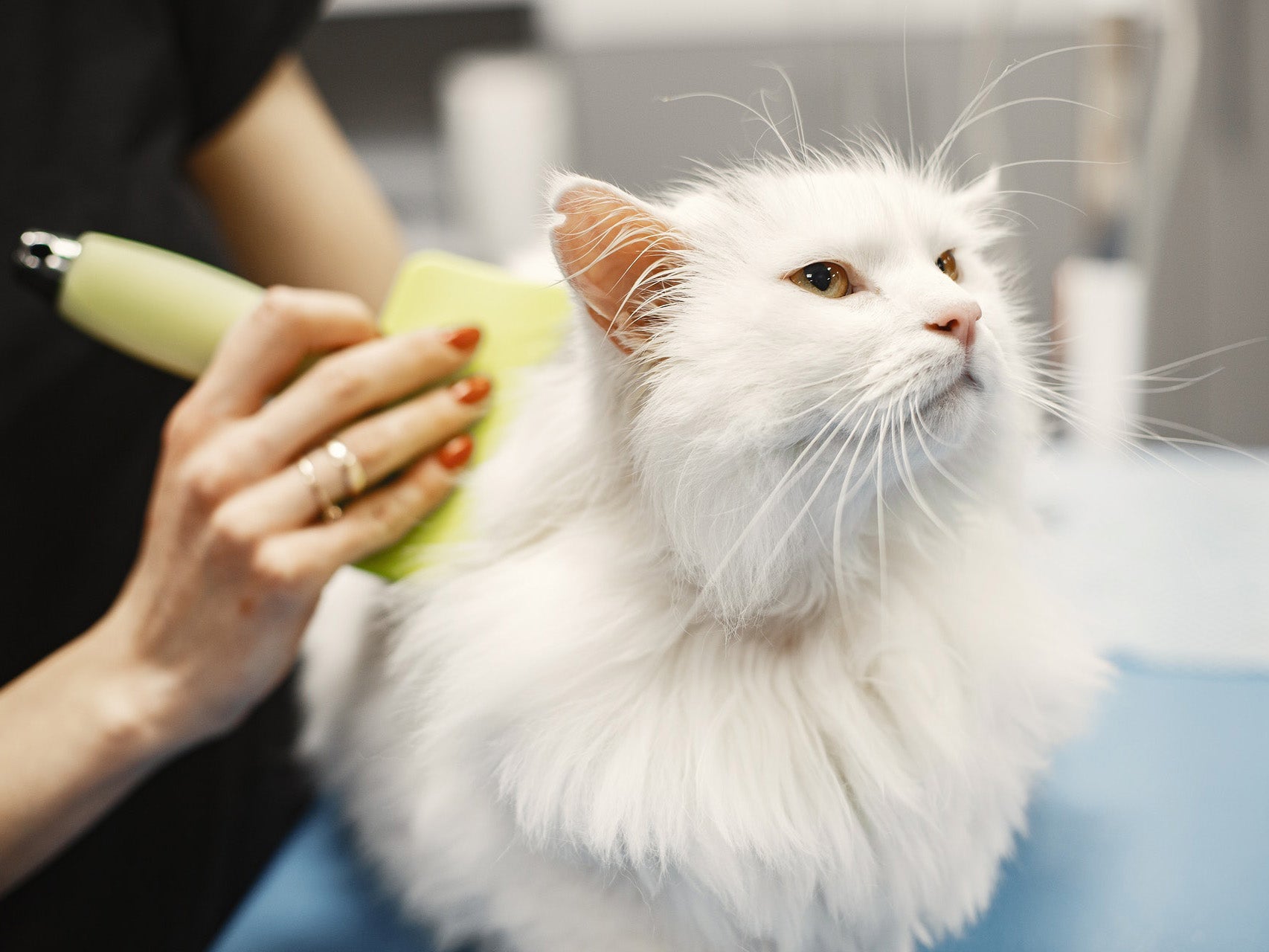 Grooming