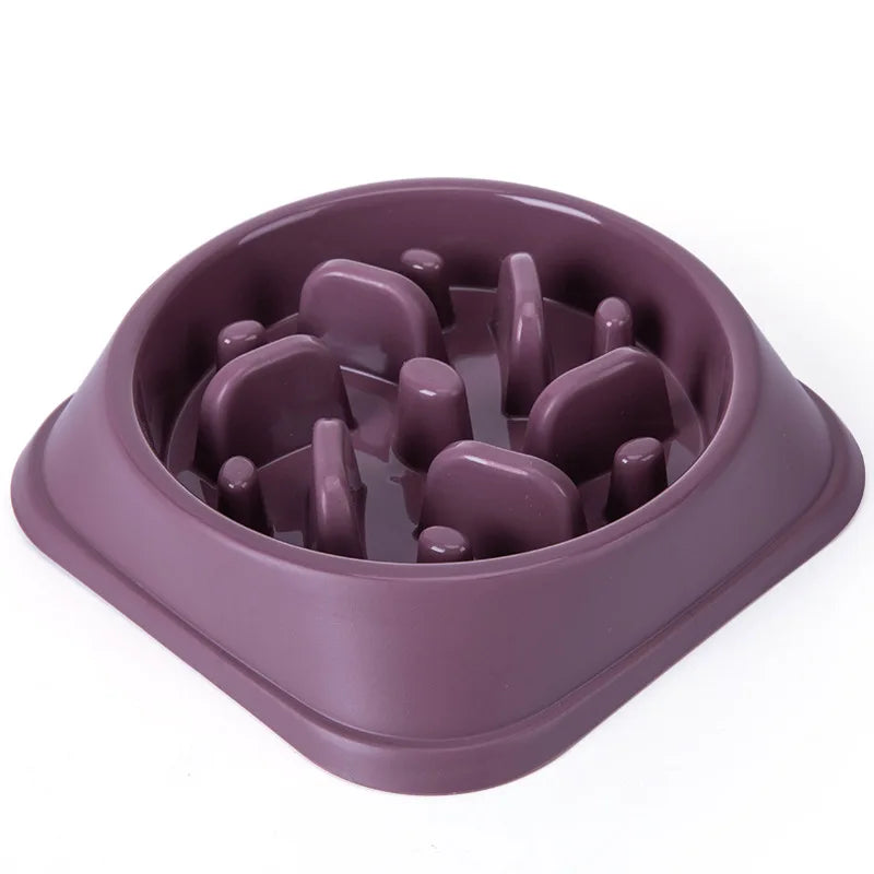 Non-Slip Slow Feeder Dog Bowl