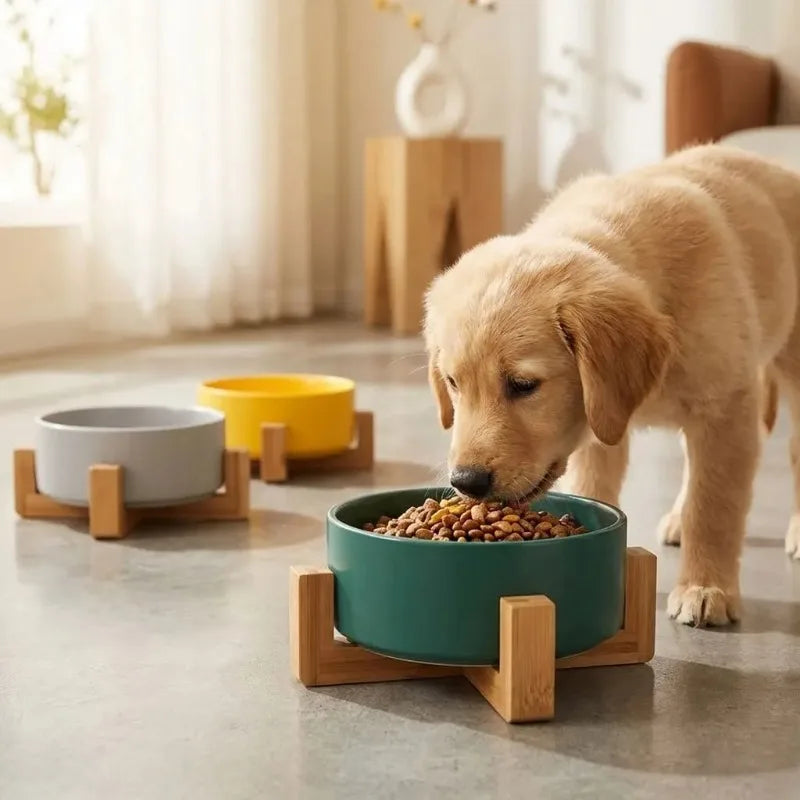 Elevated Dual Pet Bowl with Wooden Base