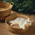 Rattan Donut Pet Bed