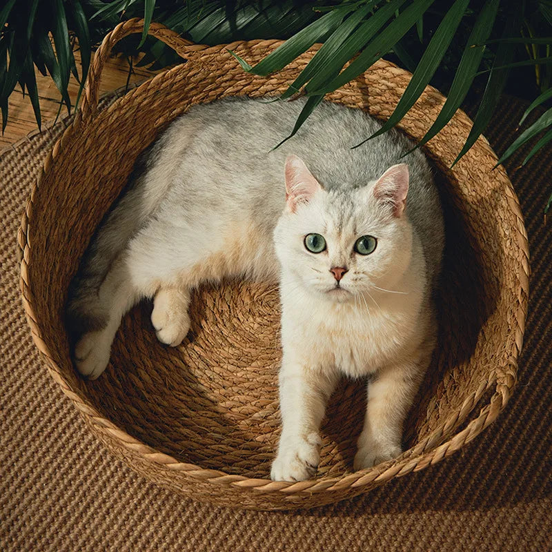 Rattan Donut Pet Bed